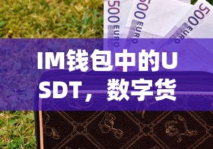 IM钱包中的USDT，数字货币的稳定锚定与交易新纪元  第1张