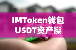 IMToken钱包USDT资产操作全解析，从截图到安全存储的指南  第1张