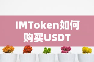 IMToken购买USDT的步骤标题，，IMToken购买USDT的详细步骤指南  第1张
