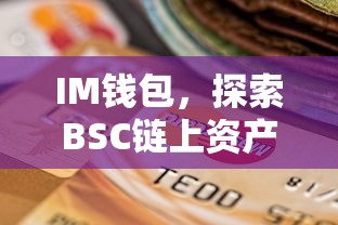 IM钱包，BSC链上资产管理的便捷途径  第1张