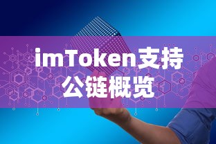 imToken公链概览支持  第1张