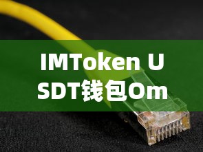 IMToken USDT钱包Omni网络解析  第1张