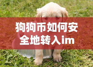 路飞的最终妻子是谁  第1张