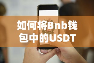 Bnb钱包中USDT的转移方法  第1张