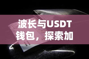 波长与USDT钱包，加密货币的存储与传输探索  第1张