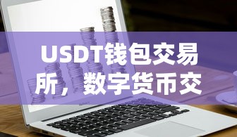 USDT钱包交易所，数字货币交易的新选择  第1张