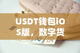 USDT钱包iOS版，数字货币时代的便捷支付之选  第1张