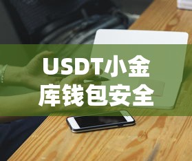 USDT小金库钱包安全性深度探讨  第1张