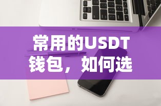 如何选择与使用常用的USDT钱包  第1张