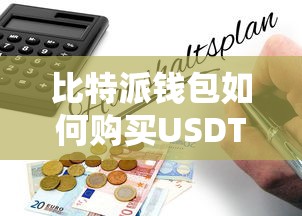 比特派钱包购买USDT教程  第1张
