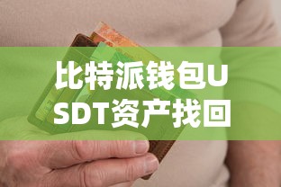 比特派钱包USDT资产丢失？快速找回指南  第1张