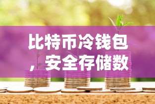 比特币冷钱包，安全存储数字资产的新选择  第1张