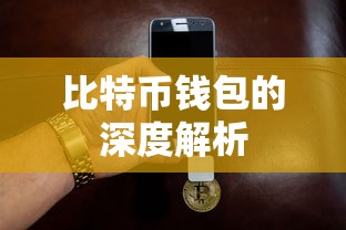 比特币钱包深度解析  第1张