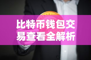比特币钱包交易查看全解析  第1张