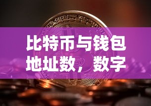 数字货币崛起，比特币与钱包地址数的深度解析  第1张