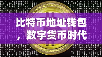 数字货币时代的财富守护者，比特币地址钱包  第1张