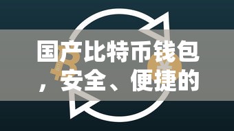 国产比特币钱包，安全便捷的数字资产存储新选择  第1张