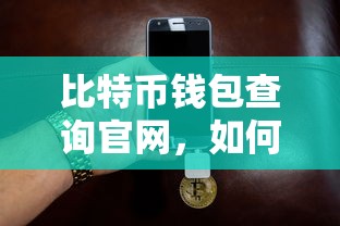 轻松找到并使用你的数字资产钱包，比特币钱包查询官网指南  第1张