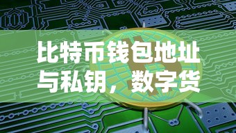 数字货币的双重保障，比特币钱包地址与私钥  第1张