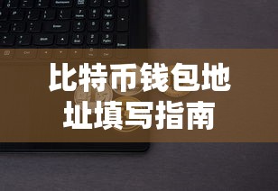 比特币钱包地址填写指南  第1张