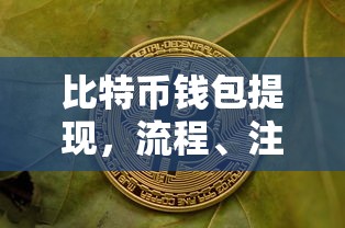 比特币钱包提现流程、注意事项及未来展望  第1张