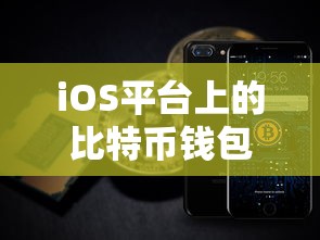 iOS平台上的安全便捷比特币钱包，数字资产存储的优选方案  第1张