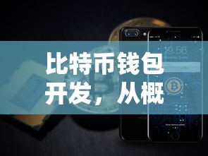从概念到实践，全面解析比特币钱包开发  第1张
