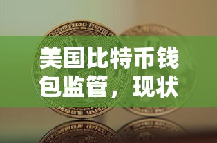 美国比特币钱包监管，现状、挑战与未来展望  第1张