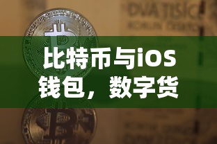 比特币与iOS钱包，数字货币的未来之路  第1张
