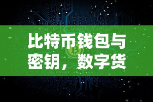 比特币钱包与密钥，数字货币的双重保障  第1张
