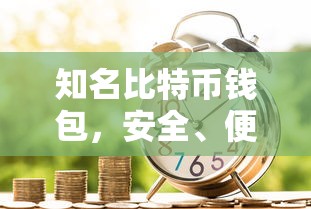 知名比特币钱包，安全便捷的数字资产存储与管理工具  第1张