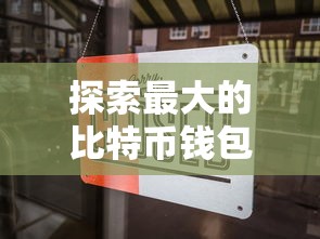 探索最大的比特币钱包，市场之巅的秘密。  第1张