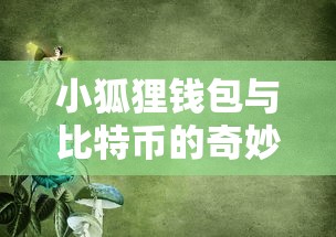 小狐狸钱包与比特币的冒险之旅  第1张