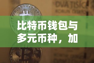 比特币钱包与多元币种，加密货币的未来之门  第1张
