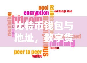 数字货币时代的财富管理新方式，比特币钱包与地址的探索与应用  第1张