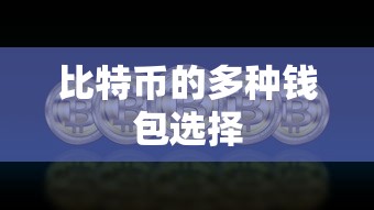 比特币，多种钱包选择解析  第1张