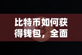 比特币钱包获取全面解析与操作指南  第1张