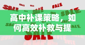 高中补课策略，高效补救与提升的方法  第1张