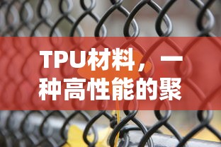 鱼翅与花椒简介  第1张