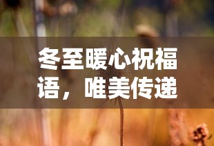冬至暖心祝福，唯美传递温情之语  第1张