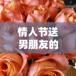 情人节送男朋友的精选礼物指南  第1张