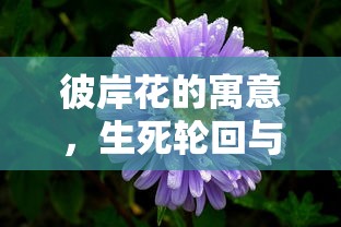 彼岸花的寓意，生死轮回与无尽思念  第1张