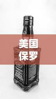 美国保罗品牌解析  第1张