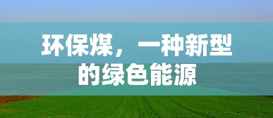环保煤，新型绿色能源的引领者  第1张