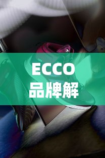 ECCO品牌解析，品质与时尚的完美结合  第1张