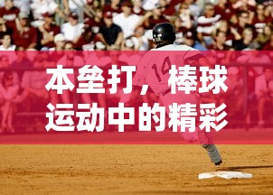 棒球运动中的精彩瞬间，本垒打时刻  第1张