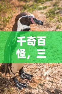 爱已成烬短剧免费观看全集  第1张