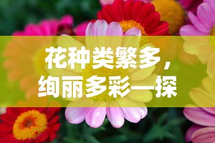 探索花卉世界的奥秘，花种类繁多，绚丽多彩  第1张