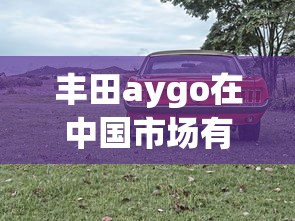 丰田aygo在中国市场是否有售？  第1张