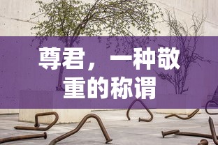 真三国无双5特别版金手指代码大全  第1张